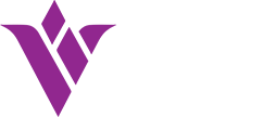 ViVi Development